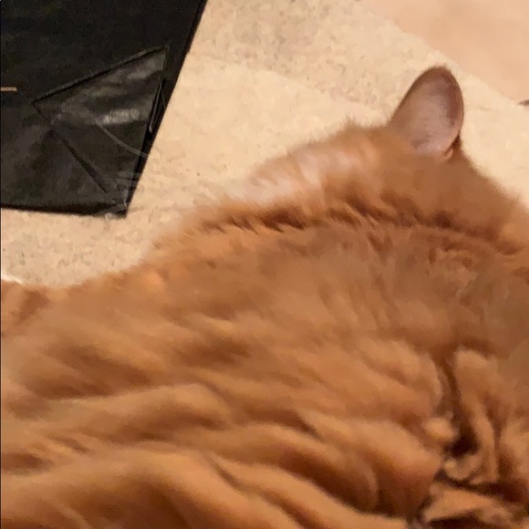 Meet your Posher, Tina - Picture 1 of 1